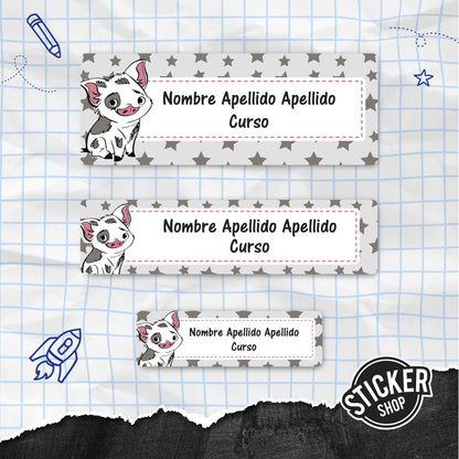Pack Escolar E24